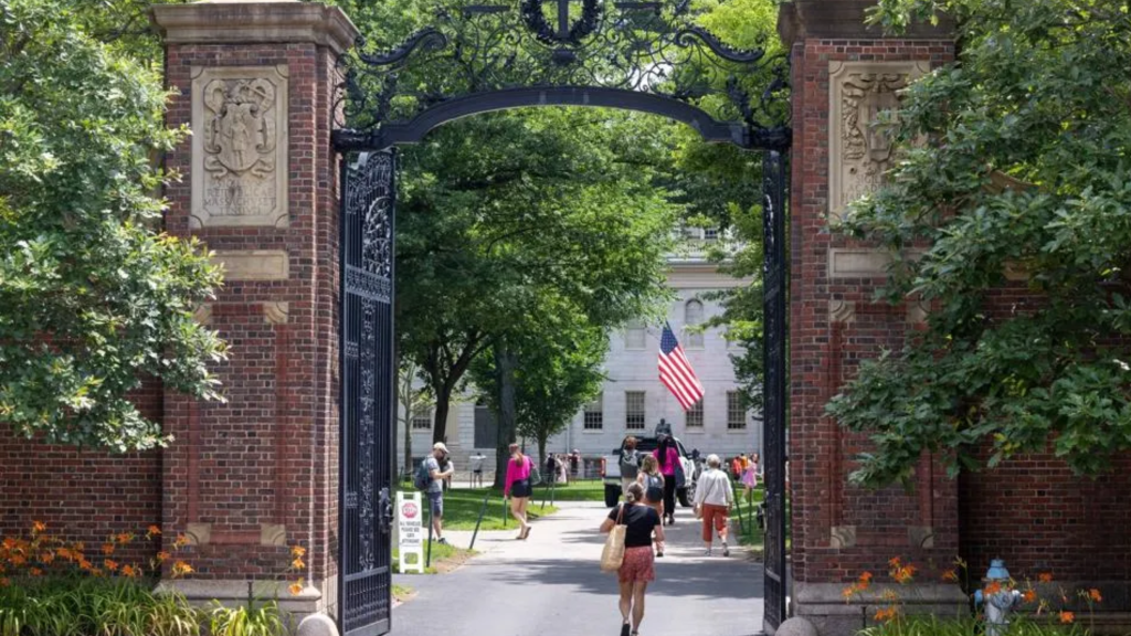 Ivy League schools that offer online master’s degrees in Education (Harvard, UPenn &&nbsp;Columbia)