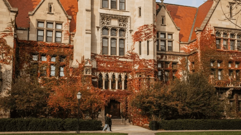 Top 3 online master’s in data science degrees (from UChicago, Imperial &&nbsp;Michigan)