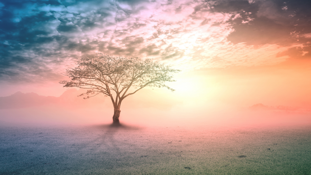 How to Evaluate Our Overall Wellness? According to&nbsp;Princeton