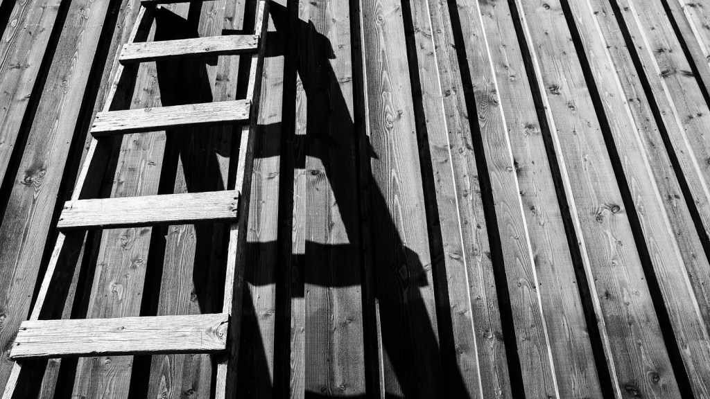 How Are We Living Under a Social&nbsp;Hierarchy?